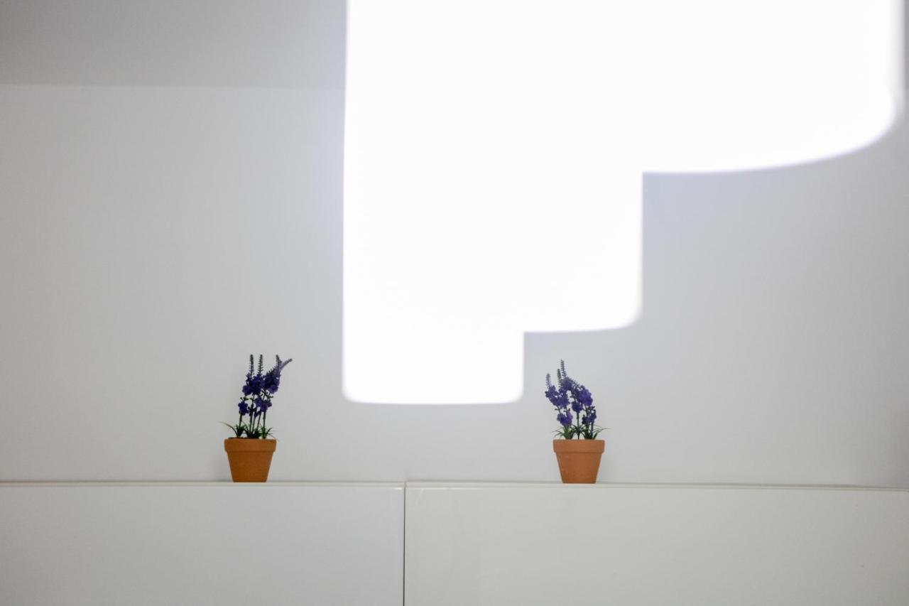 Natalie'S Studio Belgrad Zewnętrze zdjęcie